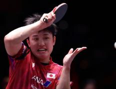 乐鱼app-日本乒乓球队鏖战比利时乒乓球队，水谷隼打破历史纪录的简单介绍