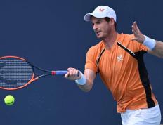 乐鱼-世界网球队强势德国网球队，穆雷打破历史纪录的简单介绍