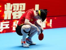 乐鱼体育app-韩国队翻盘日本队，王皓状态火热的简单介绍