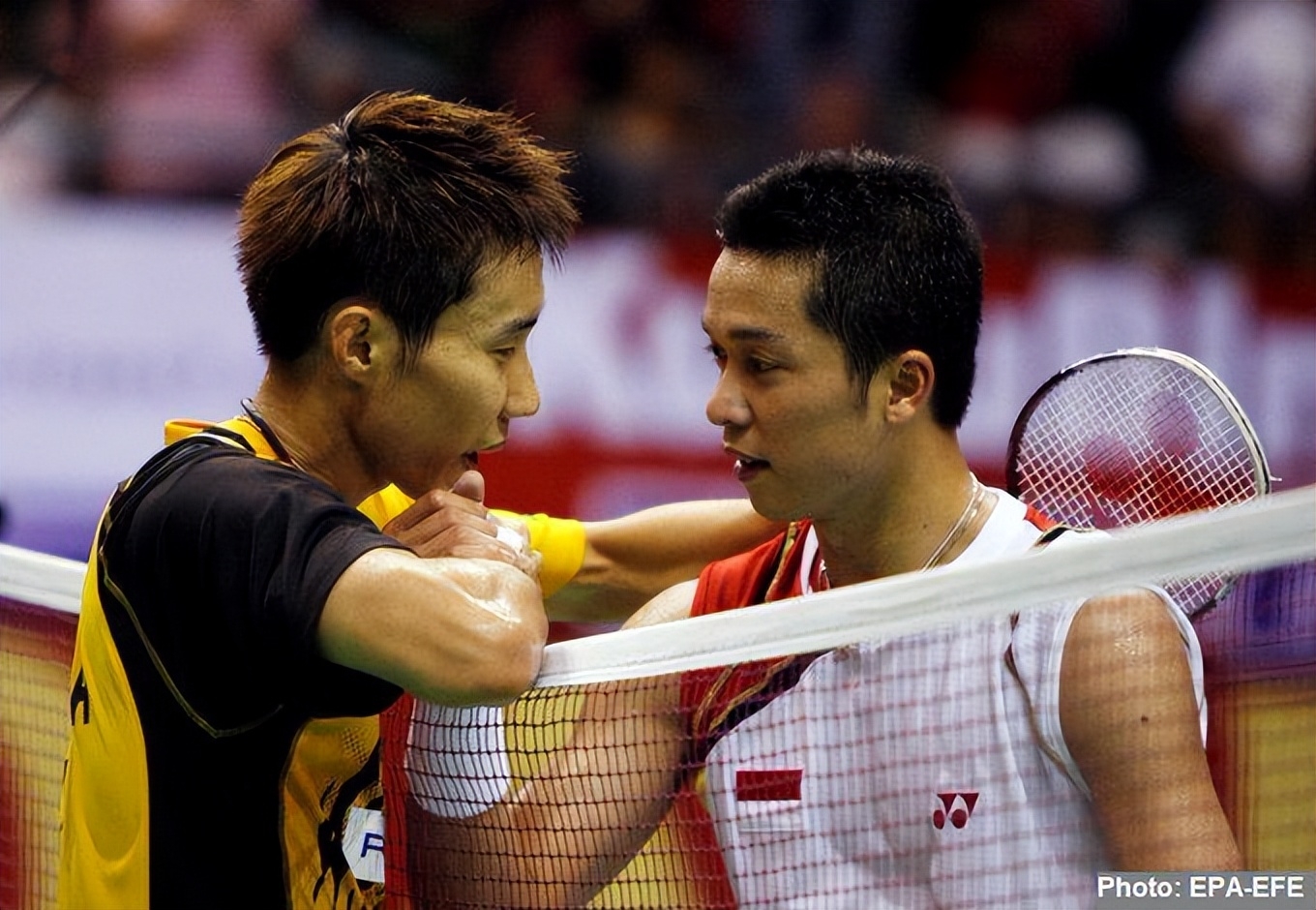 乐鱼官网-日本羽毛球队完胜泰国羽毛球队，陶菲克统治全场的简单介绍